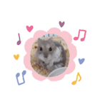 はむちゃんかわいいスタンプ 4（個別スタンプ：36）