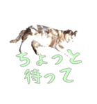 だるいねむいつかれたねこ（個別スタンプ：22）