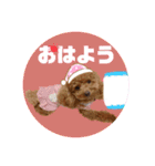 ペッコ（個別スタンプ：1）