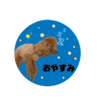 ペッコ（個別スタンプ：2）