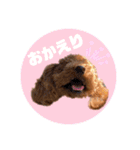ペッコ（個別スタンプ：4）