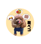 ペッコ（個別スタンプ：14）