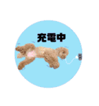 ペッコ（個別スタンプ：17）