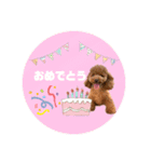 ペッコ（個別スタンプ：19）