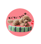 ペッコ（個別スタンプ：23）