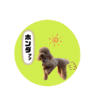 ペッコ（個別スタンプ：26）