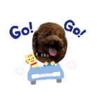 ペッコ（個別スタンプ：31）