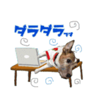 ココのスタンプ♡（個別スタンプ：4）