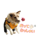 ココのスタンプ♡（個別スタンプ：9）