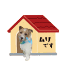 ココのスタンプ♡（個別スタンプ：14）