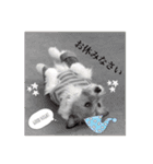 ココのスタンプ♡（個別スタンプ：19）