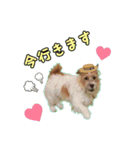 ココのスタンプ♡（個別スタンプ：20）