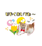 ココのスタンプ♡（個別スタンプ：22）
