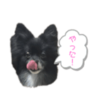 レオちゃん②（個別スタンプ：8）