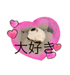 まるにゃんのスタンプ3（個別スタンプ：26）