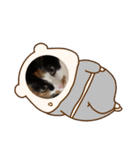 まるにゃんのスタンプ3（個別スタンプ：29）