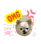我が家のキュートくん   10（個別スタンプ：1）