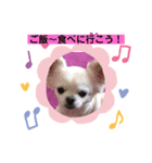 我が家のキュートくん   10（個別スタンプ：4）