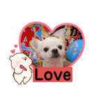 我が家のキュートくん   10（個別スタンプ：5）