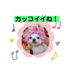 我が家のキュートくん   10（個別スタンプ：7）