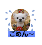 我が家のキュートくん   10（個別スタンプ：8）