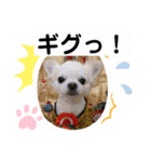 我が家のキュートくん！ 11（個別スタンプ：5）