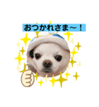 我が家のキュートくん！ 11（個別スタンプ：6）