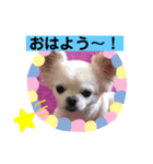 我が家のキュートくん！ 11（個別スタンプ：7）