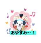 我が家のキュートくん！ 11（個別スタンプ：8）