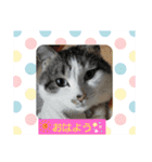 イケメン風太の日常会話（個別スタンプ：1）