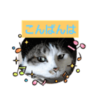 イケメン風太の日常会話（個別スタンプ：3）