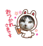 イケメン風太の日常会話（個別スタンプ：5）