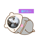 イケメン風太の日常会話（個別スタンプ：12）