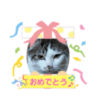 イケメン風太の日常会話（個別スタンプ：16）