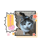 イケメン風太の日常会話（個別スタンプ：17）