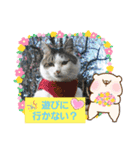 イケメン風太の日常会話（個別スタンプ：18）