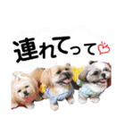 nagatasama（個別スタンプ：14）