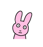 真顔で見つめてくる動物たち（個別スタンプ：1）