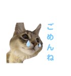 ねこのすず（個別スタンプ：6）