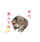 ねこのすず（個別スタンプ：14）