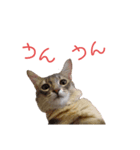 ねこのすず（個別スタンプ：16）