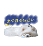 ゆりししまるくん③（個別スタンプ：6）