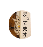しじみ先輩のスタンプ（個別スタンプ：8）