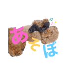 まんまるぷーすけの日常（個別スタンプ：5）
