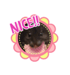 ちょてたん（個別スタンプ：3）