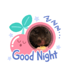 ちょてたん（個別スタンプ：4）