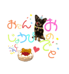 チワワのとろろところ様（個別スタンプ：9）