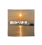 【海と空】お仕事に使えるスタンプ（個別スタンプ：24）