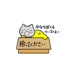 不憫なねこ（個別スタンプ：18）