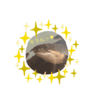 creatures days（個別スタンプ：5）